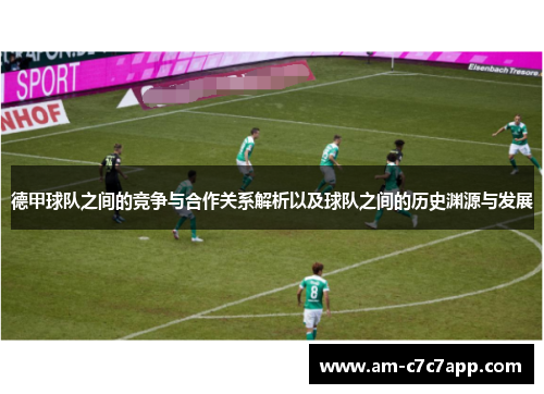 德甲球队之间的竞争与合作关系解析以及球队之间的历史渊源与发展