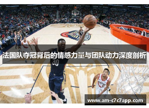 法国队夺冠背后的情感力量与团队动力深度剖析