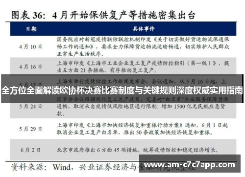 全方位全面解读欧协杯决赛比赛制度与关键规则深度权威实用指南