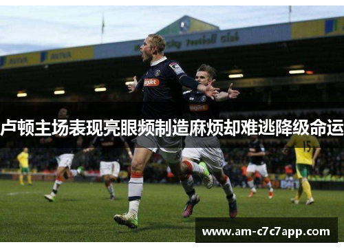 卢顿主场表现亮眼频制造麻烦却难逃降级命运